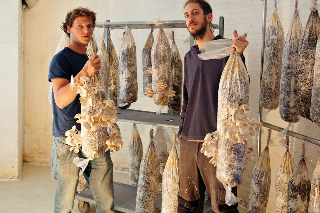 Tour & Taxis by Hungry for More. The owners of PermaFungi with the mushrooms in the basement of Tour & Taxis.