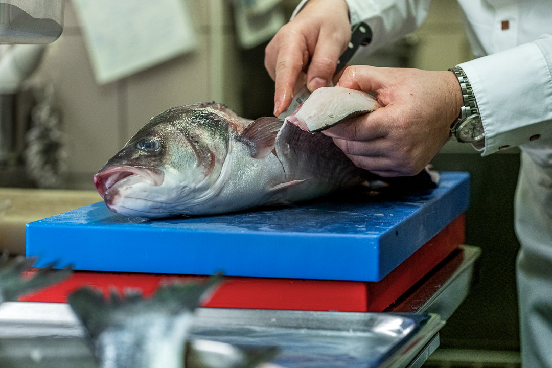Alain Bianchin by Hungry for More. Chef Alain Bianchin preparing the fish.